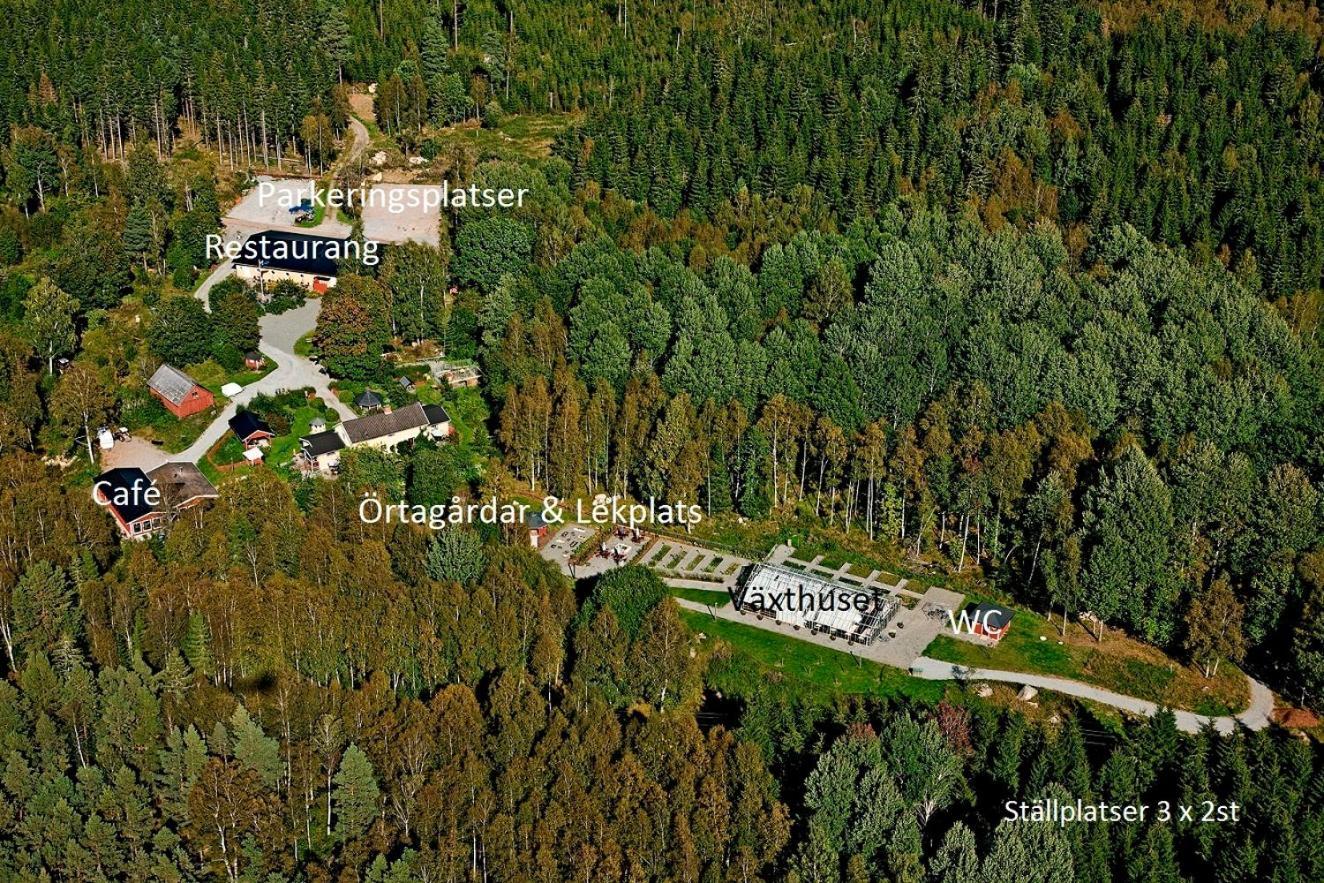 Timjan Forest Resort Nydala Kültér fotó