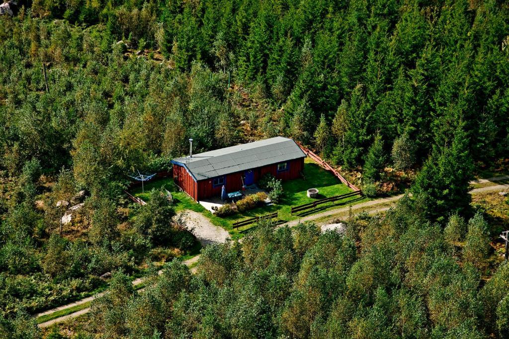 Timjan Forest Resort Nydala Kültér fotó