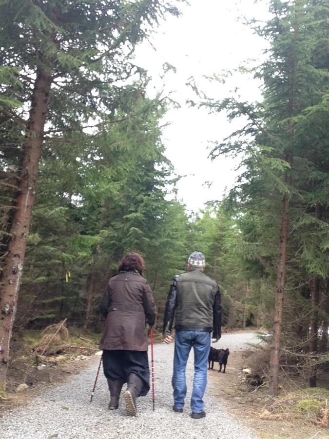 Timjan Forest Resort Nydala Kültér fotó