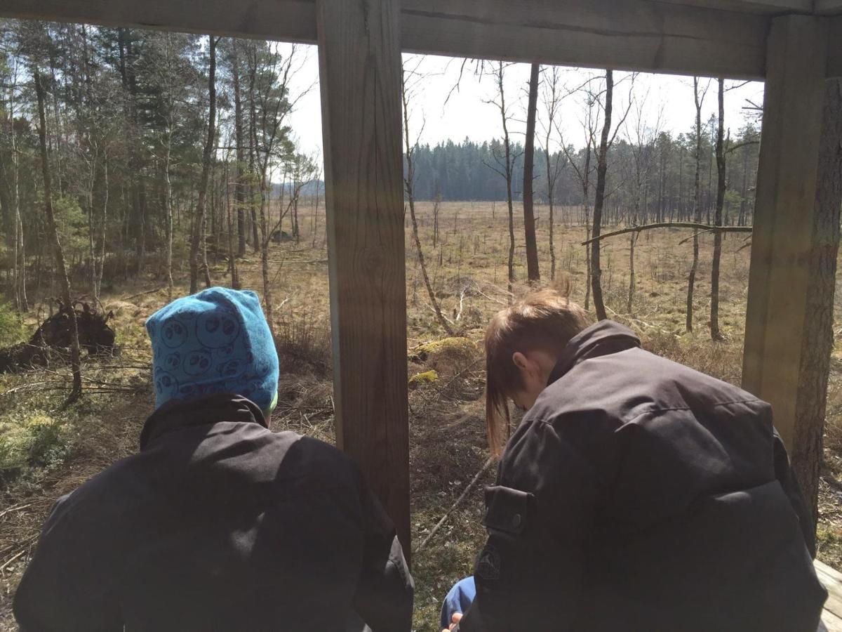 Timjan Forest Resort Nydala Kültér fotó